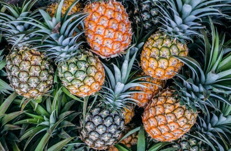 A focus on digestive enzymes