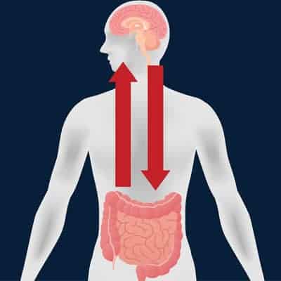 Gut-Brain Connection with Probiotics where good bacteria affects mental health - ProVen