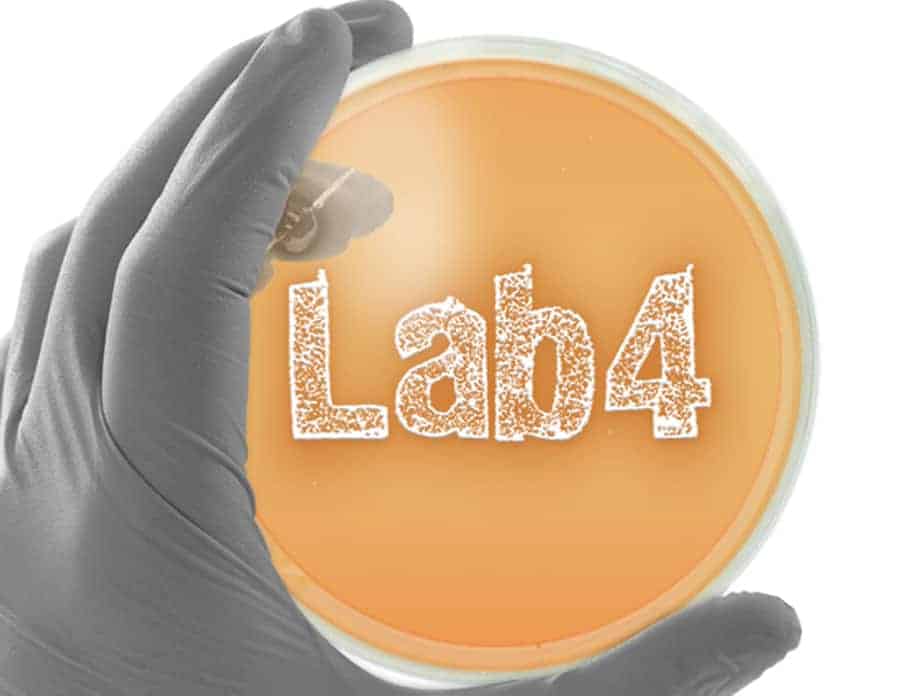 Choosing the right probiotic - Lab4