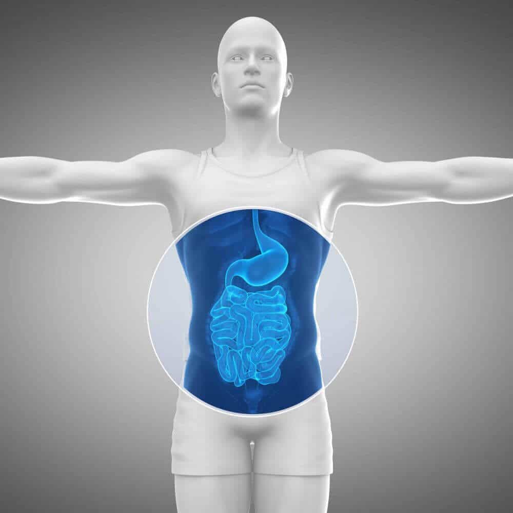 Your gut health affects mental health and vice versa - ProVen Probiotics