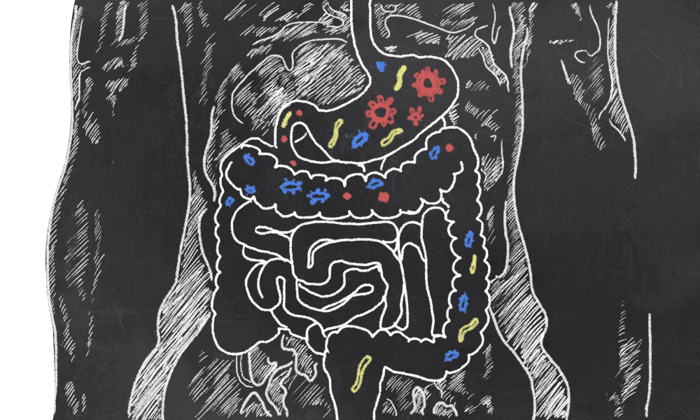 The Power of Your Immune Systems starts in the Gut - ProVen Probiotics