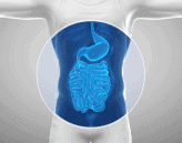 Category Menu Gastro-Intestinal Health - SIBO, an in-depth guide