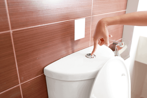 What does healthy poop look like? - ProVen Probiotics