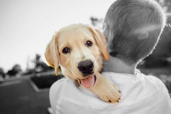 Today is National Love Your Pet Day, which focuses on pampering our pets and acknowledging the special place they hold in our lives