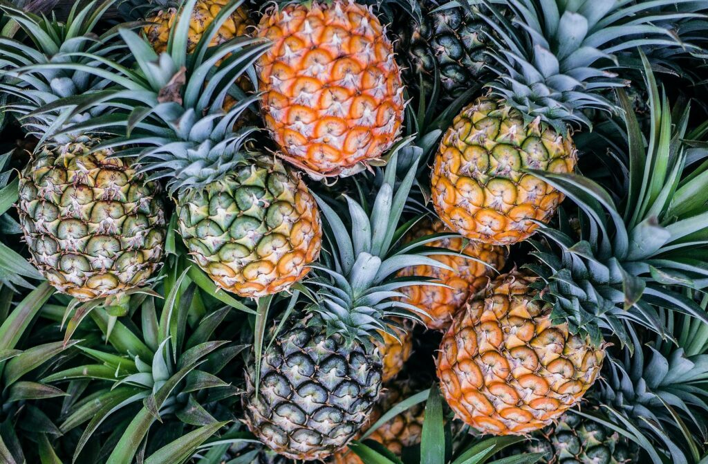 Digestive enzymes in pineapple